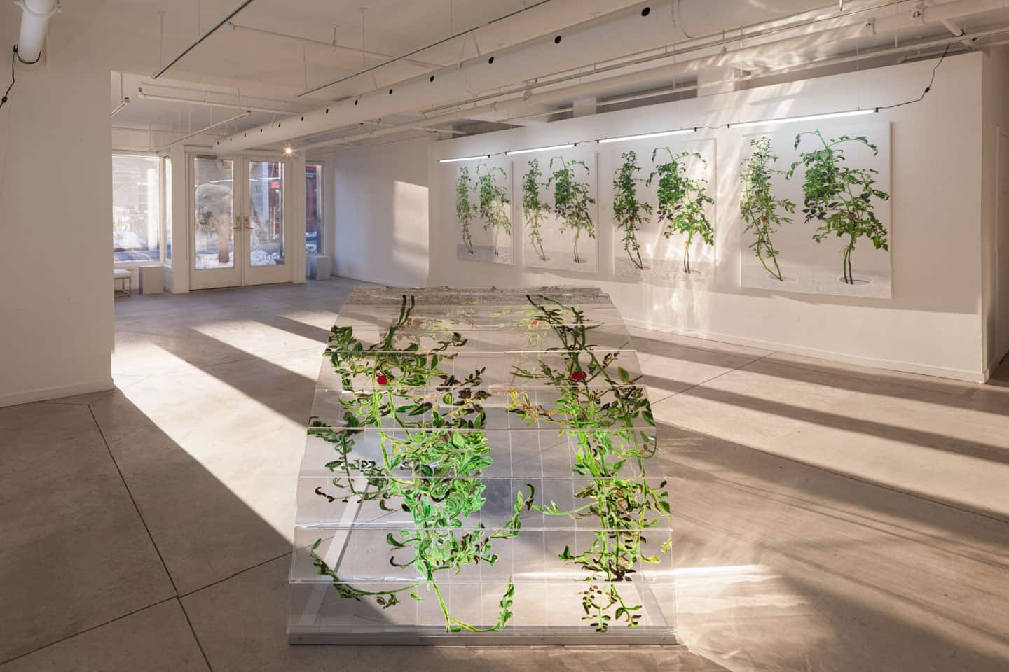 Alex Fischer,  1, 7 and 6000 evening light, O'Born Contemporary 